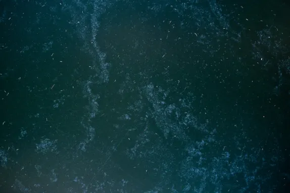 トーナバース カジノ サポート